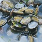 原汁蛤蜊