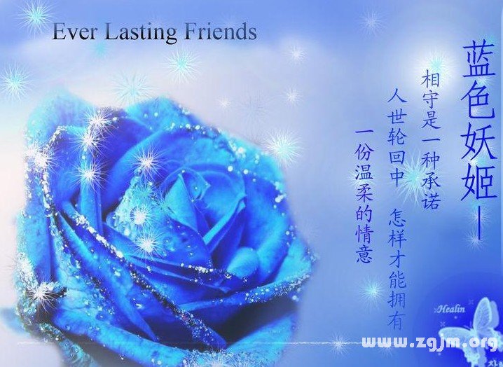 蓝色妖姬的花语