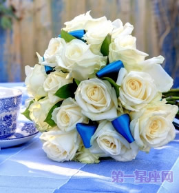 送什么花代表友谊？